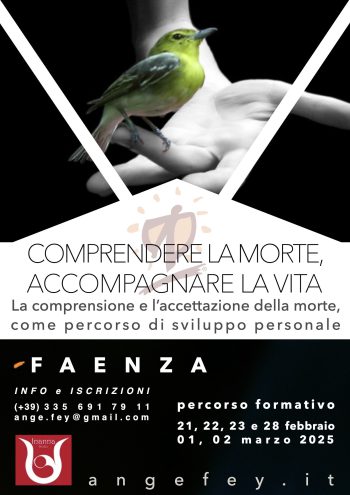 Comprendere Faenza 0225 1